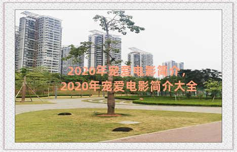 2020年宠爱电影简介，2020年宠爱电影简介大全