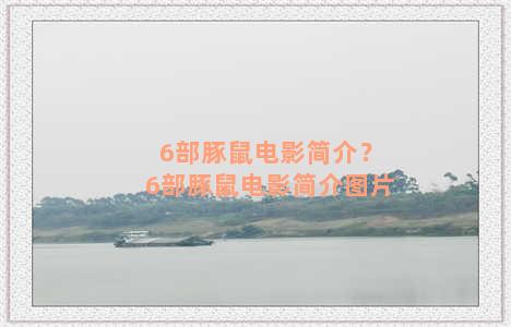 6部豚鼠电影简介？6部豚鼠电影简介图片