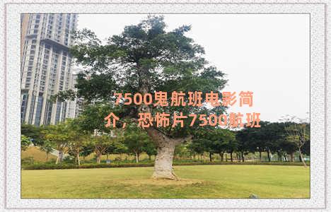 7500鬼航班电影简介，恐怖片7500航班