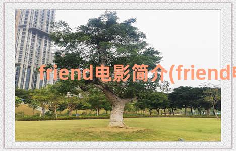 friend电影简介(friend电视剧)