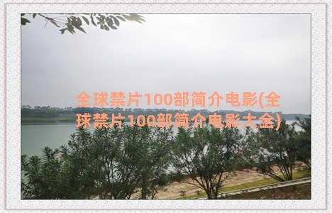 全球禁片100部简介电影(全球禁片100部简介电影大全)