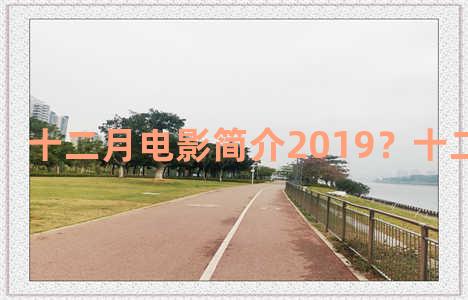 十二月电影简介2019？十二月的电影