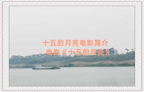 十五的月亮电影简介，电影《十五的月亮》