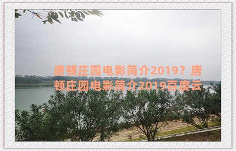 唐顿庄园电影简介2019？唐顿庄园电影简介2019百度云