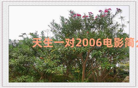 天生一对2006电影简介