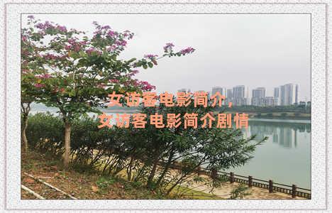 女访客电影简介，女访客电影简介剧情