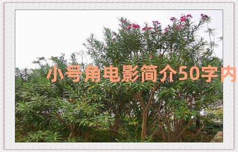 小号角电影简介50字内容