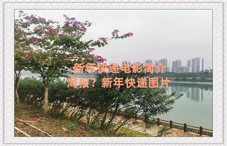 新年快递电影简介海报？新年快递图片