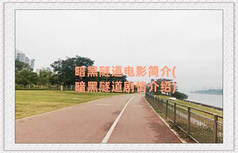 暗黑隧道电影简介(暗黑隧道剧情介绍)