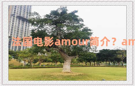 法国电影amour简介？amour电影影评