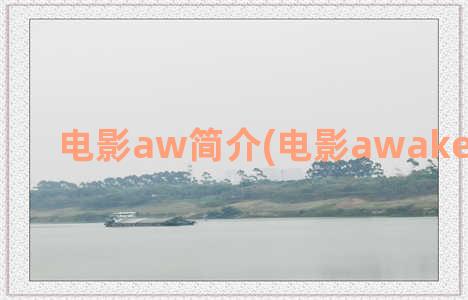 电影aw简介(电影awake剧情介绍)