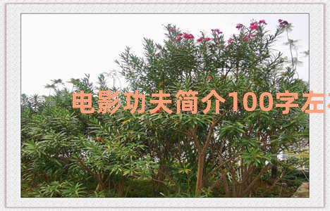 电影功夫简介100字左右