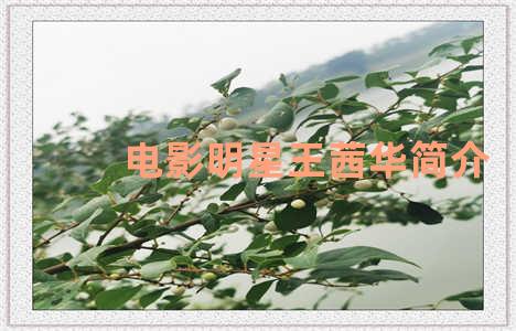 电影明星王茜华简介