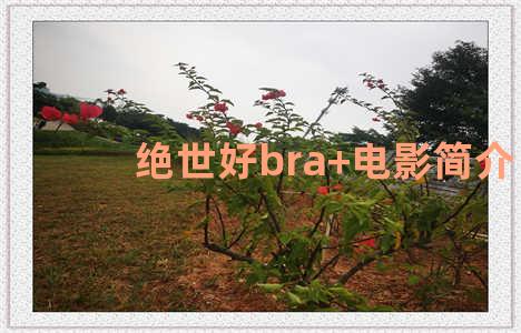 绝世好bra+电影简介